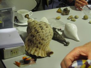 IMG_2634